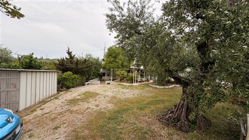 Trullo Con Alcove Con Bagno e Angolo Cottura.Terreno di 4.000 mq.